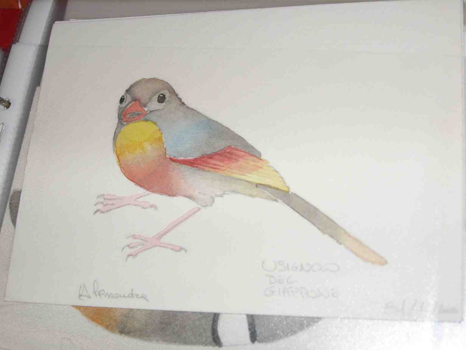 altri disegni di animali